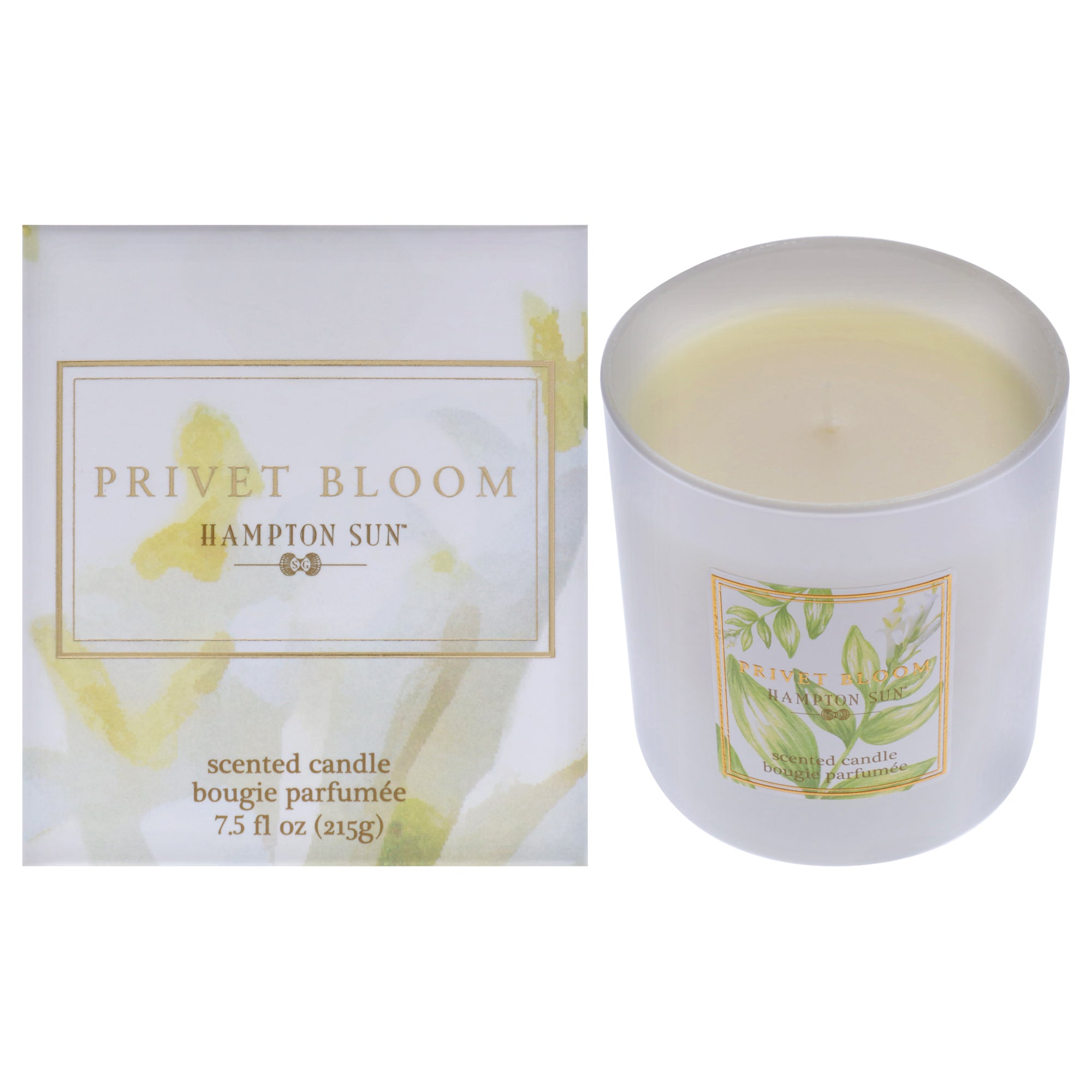 Privet Bloom Scented Candle by Hampton Sun for Unisex - 7.5 oz Candle