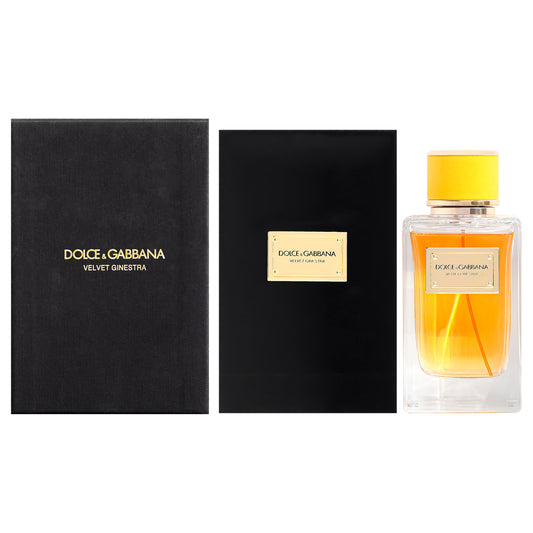 Velvet Ginestra by Dolce and Gabbana for Women - 5 oz EDP Spray