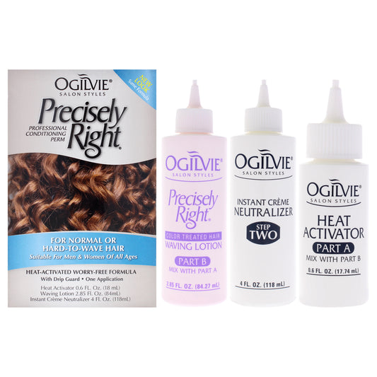 Precisely Right Professional Conditioning Perm 1 Application Treatment