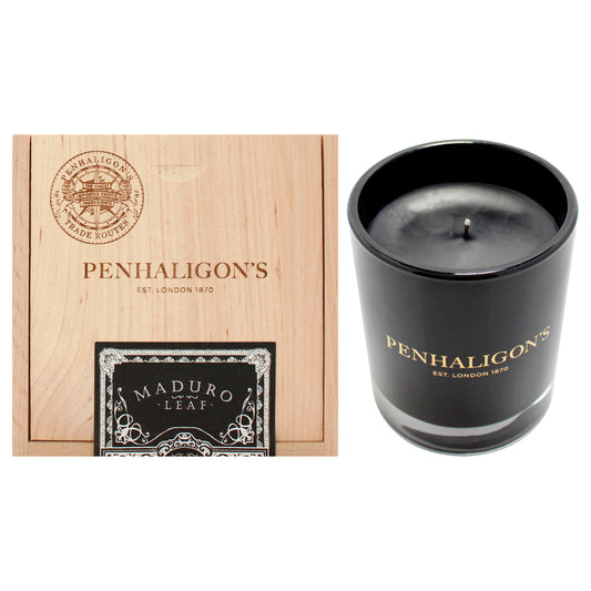 Maduro Leaf Candle 6.6 oz Candle
