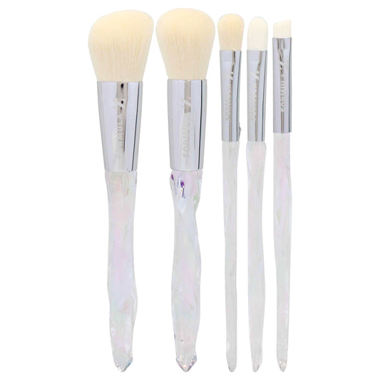 Transforming Brush Set 5 Pc Powder Brush