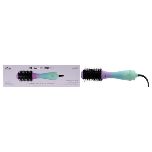 Blowdry Brush - Ombre 1 Pc Brush