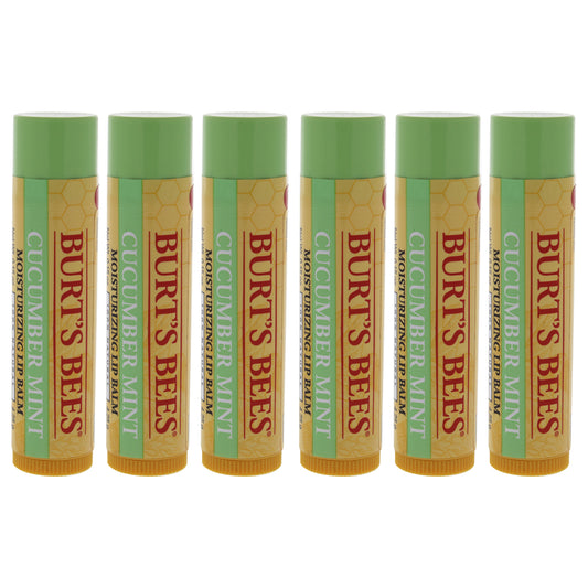 Cucumber Mint Moisturizing Lip Balm by Burts Bees for Women - 0.15 oz Lip Balm - Pack of 6
