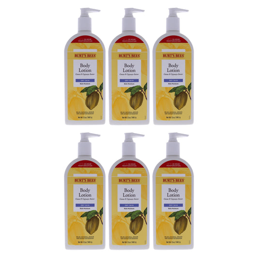 Cocoa and Cupuacu Butters Body Lotion - Pack of 6 12 oz Body Lotion