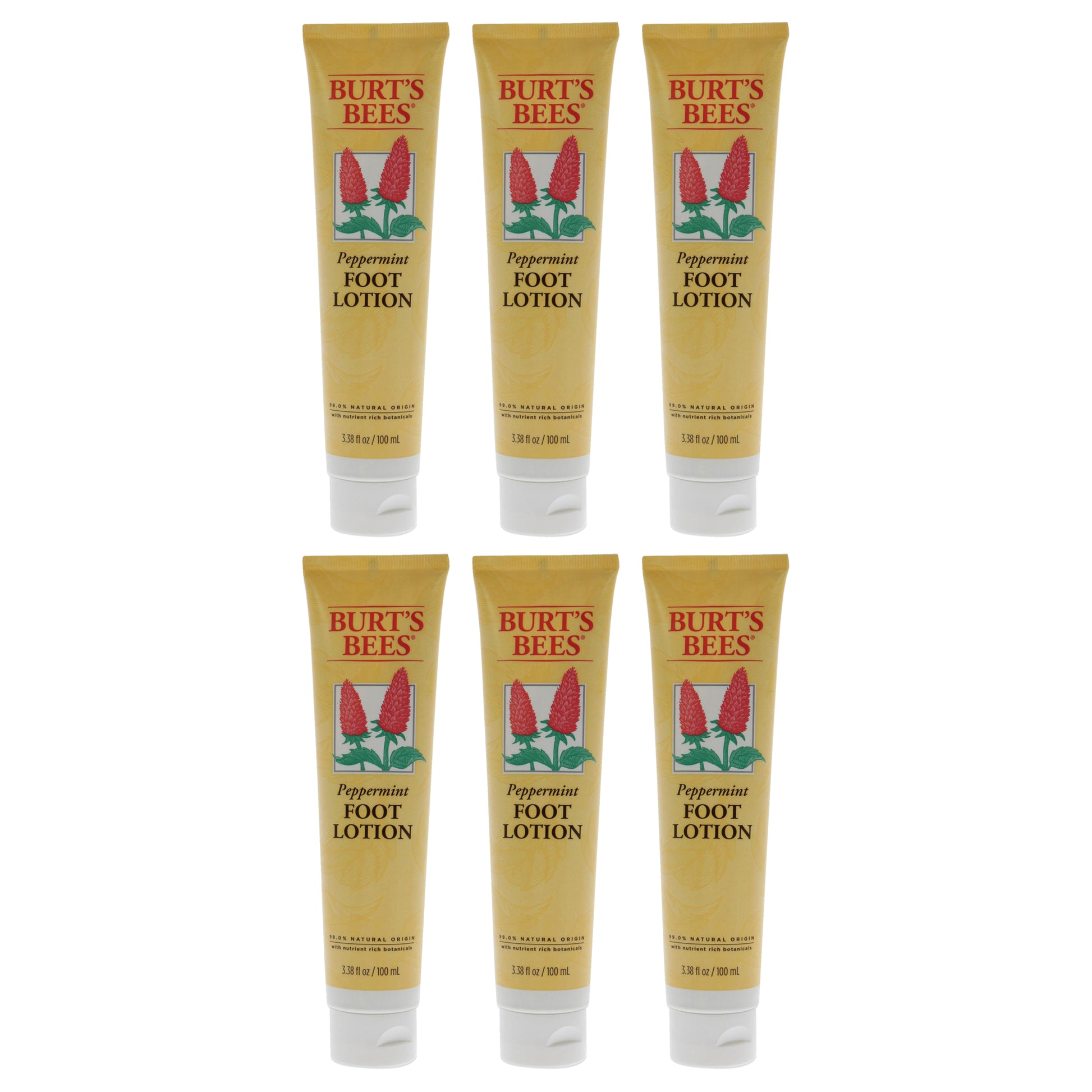 Peppermint Foot Lotion by Burts Bees for Unisex - 3.38 oz Lotion - Pack of 6