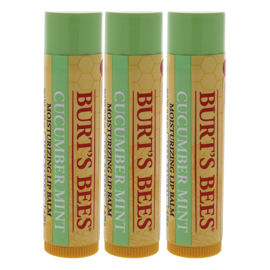 Cucumber Mint Moisturizing Lip Balm by Burts Bees for Women - 0.15 oz Lip Balm - Pack of 3